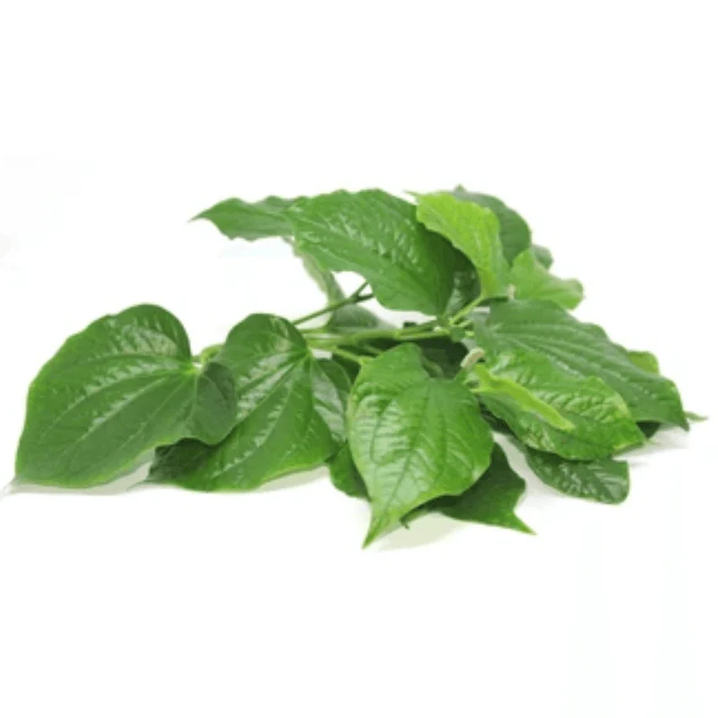 Feuilles de piper lolot (cha phlu, BETEL)- Hello Asia - 100g