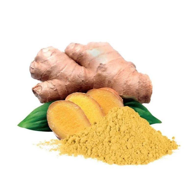 Poudre de gingembre - TRS - 100g